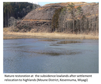 Nature restoration in Kesennuma