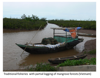 Traditional fisheries in Vietnam