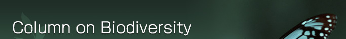 Column on Biodiversity