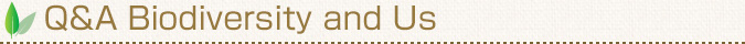 Q&A Biodiversity and Us