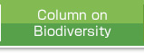 Column on Biodiversity
