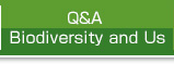 Q&A Biodiversity and Us