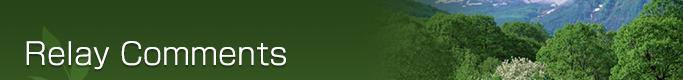 Relay Comments