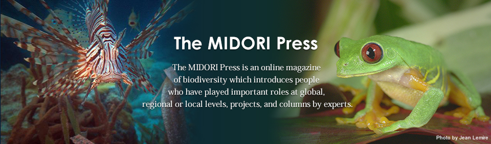 The MIDORI Press