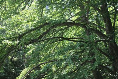 2009 08 07_0900s.jpg