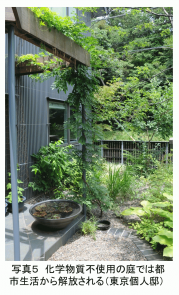 PS PHOTO 5 JP.png