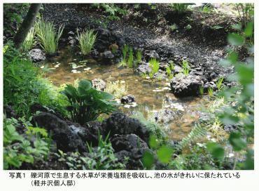 PS PHOTO1 JP.png