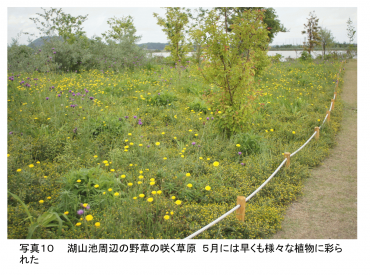 PS PHOTO10 JP.png