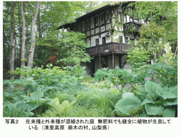 PS PHOTO2 JP.png