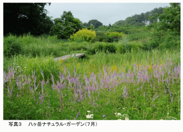 PS PHOTO3 JP.png