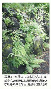 PS PHOTO4 JP.png