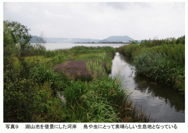 PS PHOTO9 JP.png