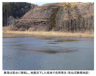 図2 集落は高台に移転し、地盤沈下した低地で自然再生