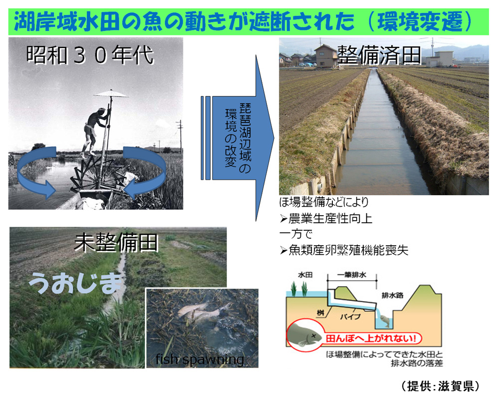 Photo5