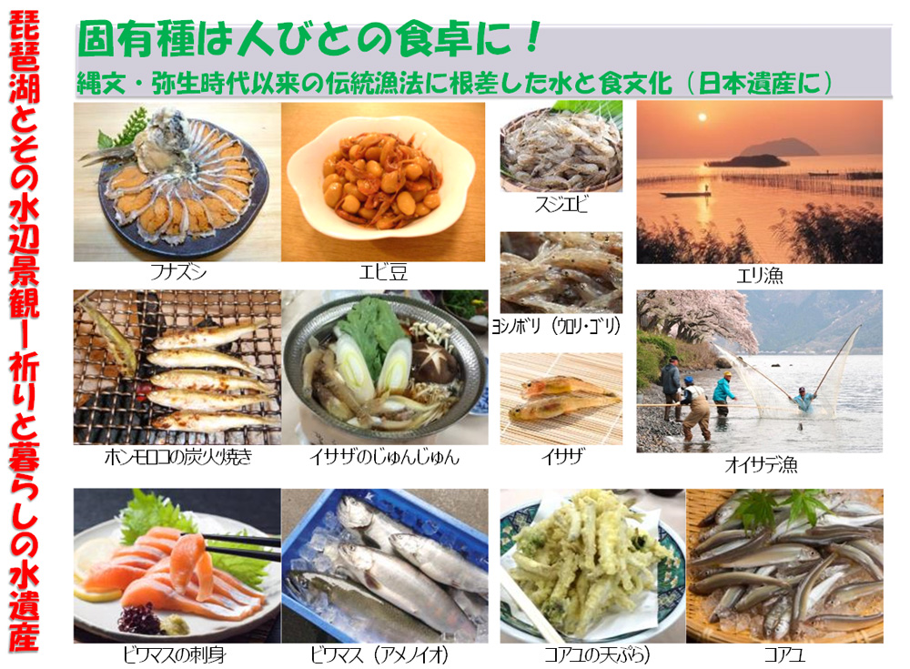 Photo7