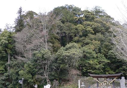 柏原八幡山.jpg