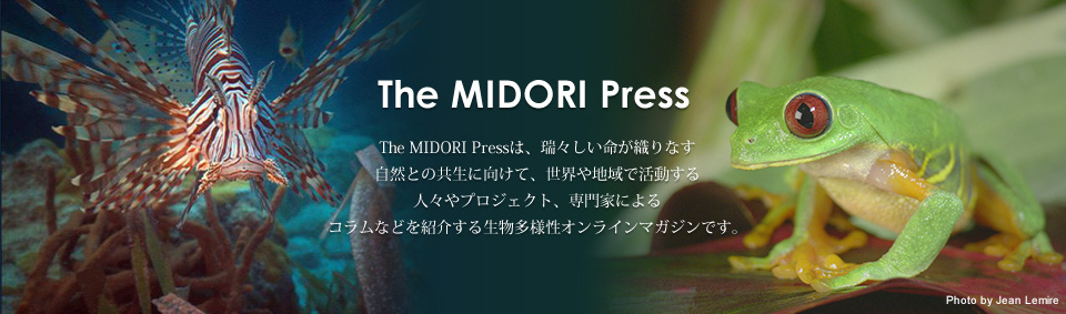 The MIDORI Press