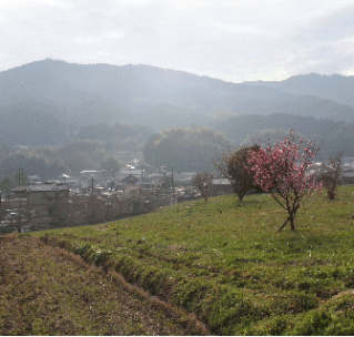 319_319_satoyama.pngのサムネイル画像のサムネイル画像