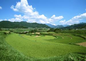 原風景.jpg