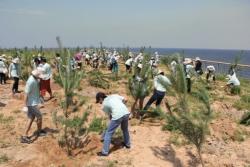 Tree_Planting.jpg