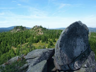 2010 06_NLP Harz_StephanieSchubert (6).JPG