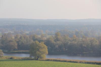 IMG_4859.JPG