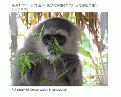 写真2_Hibi.png