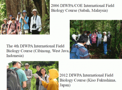 図1DIWPA.png