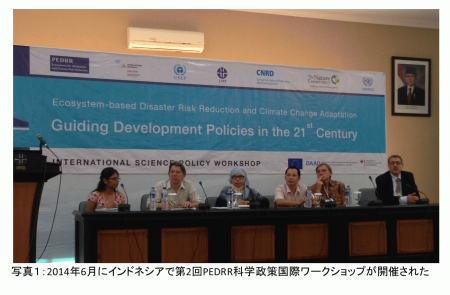 第2回PEDRR科学政策国際ワークショップ.png
