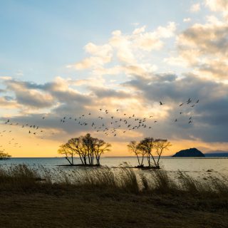 biwa-lake