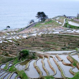 1005能登 021_eye 1005能登 021_eye