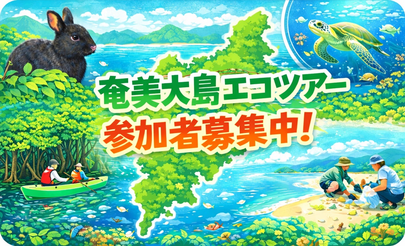 奄美大島エコツアーの参加者を募集しています