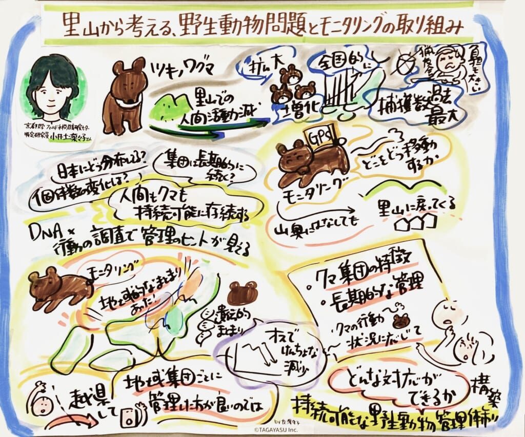 活動紹介3_京都大学 フィールド科学教育研究センター 特定研究員　小井土 凜々子さま