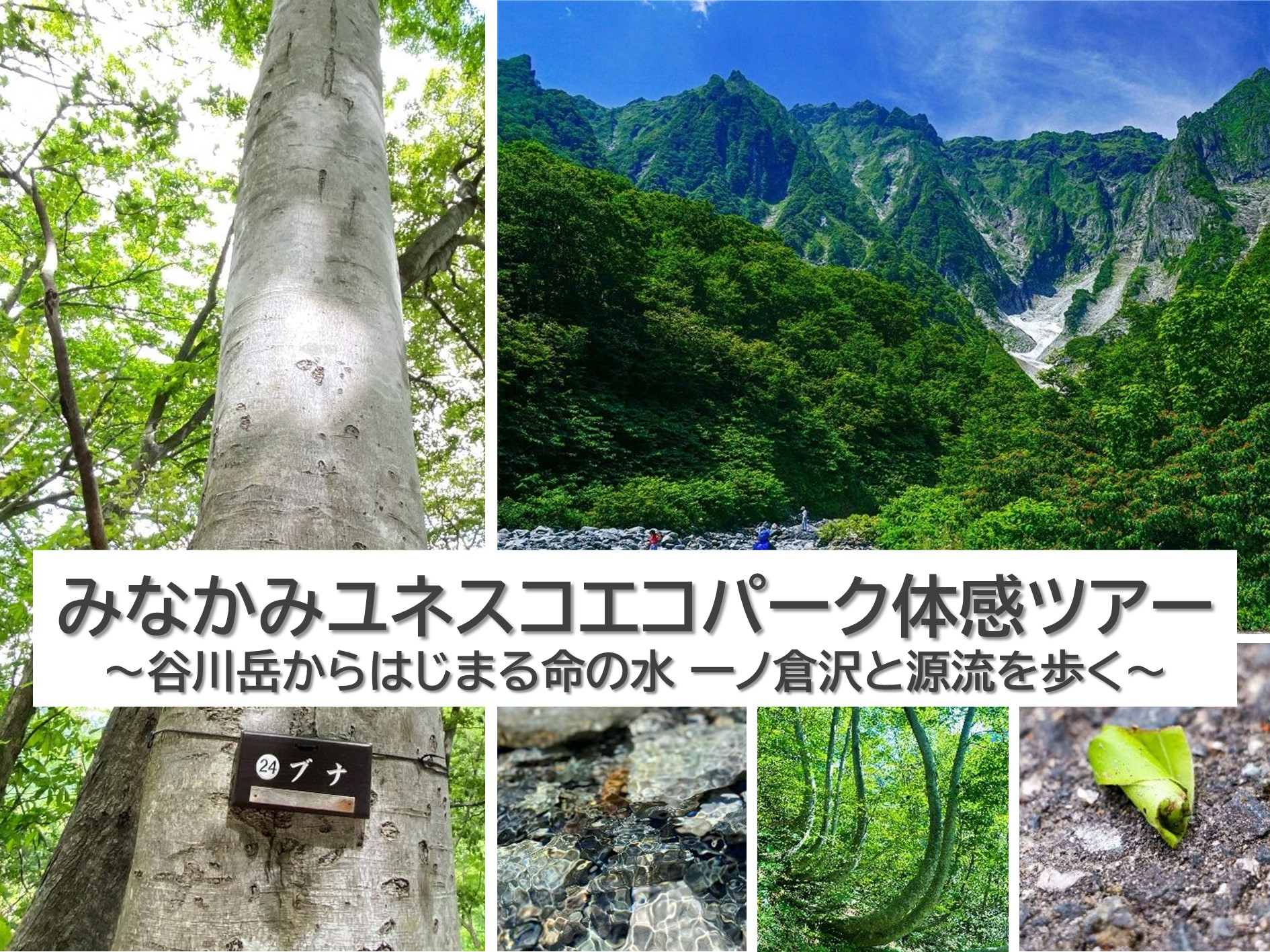 みなかみユネスコエコパーク体感ツアー