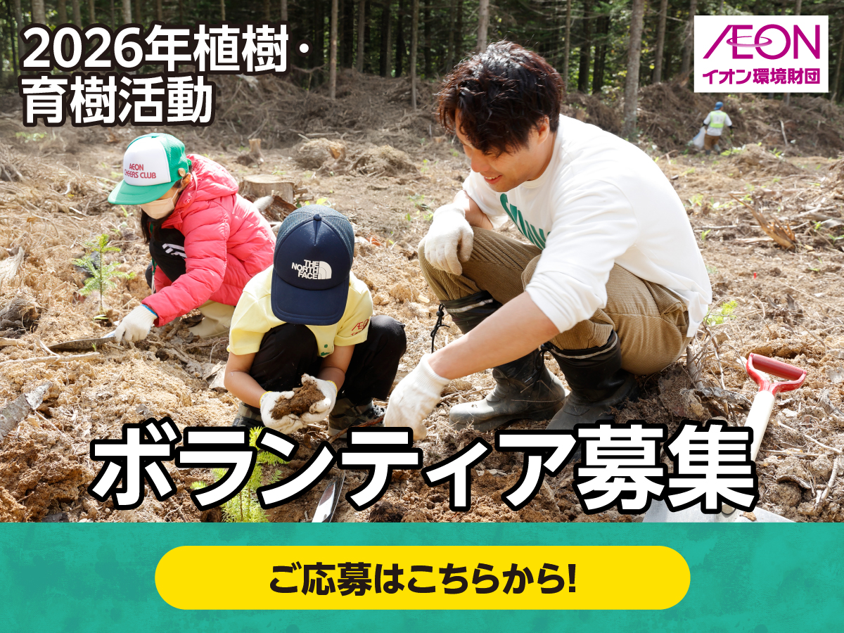 植樹・育樹ボランティア募集